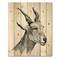 Designart - Monochrome Portrait Of Goat I - Farmhouse Print on Natural Pine Wood